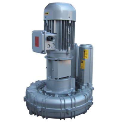 Промышленная вихревая воздуходувка FPZ K06-MS-GVR-7.50 Flex-coupling Vertical IE2